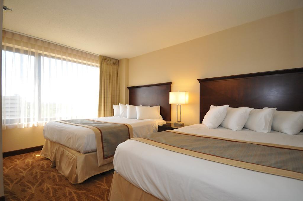 Standard Queen Room Two Queen Beds,71943923:JPEG